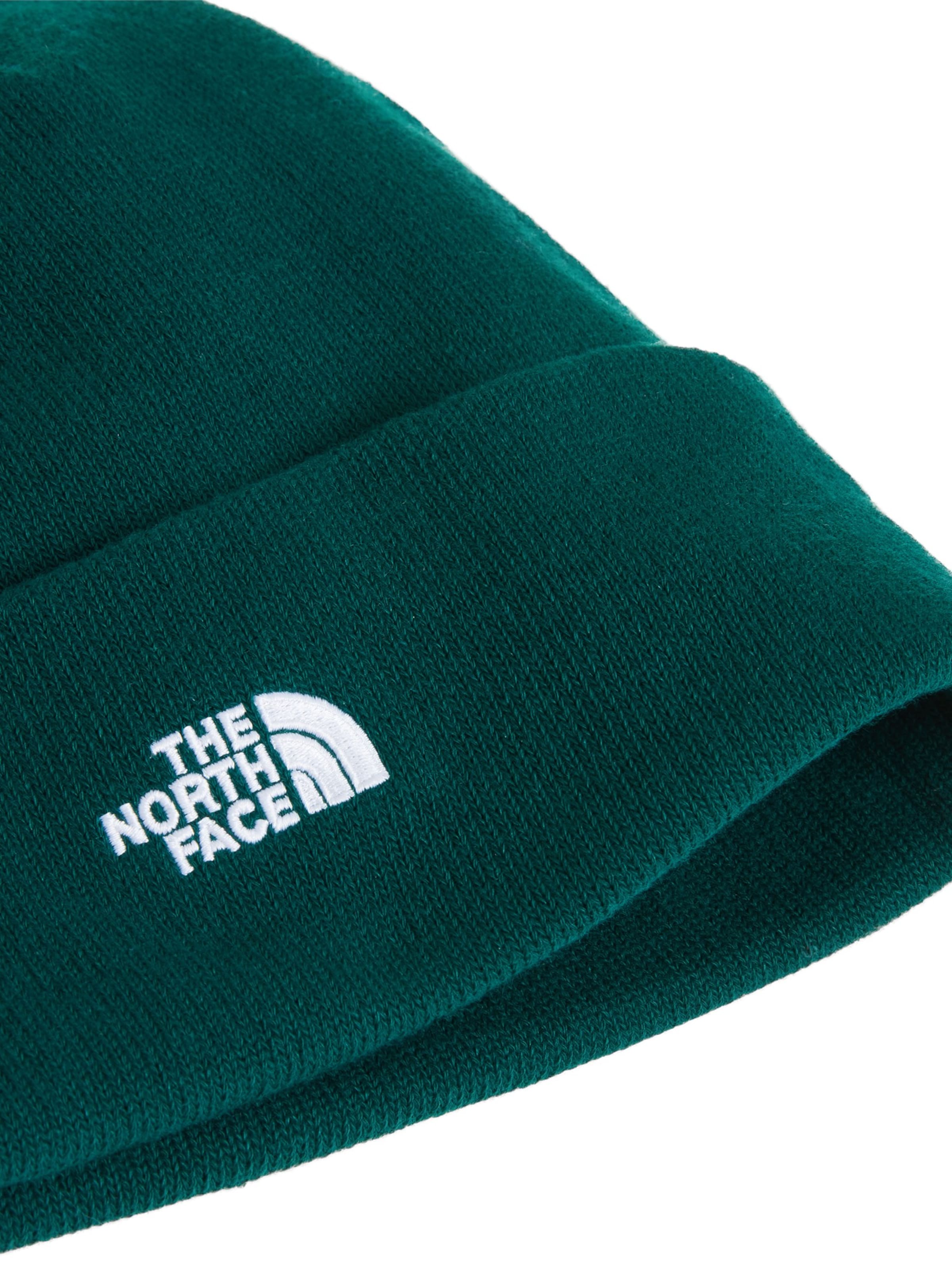 THE NORTH FACE Muts 'Norm' in Groen