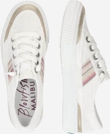 Blowfish Malibu - Zapatillas deportivas bajas 'Alex' en blanco