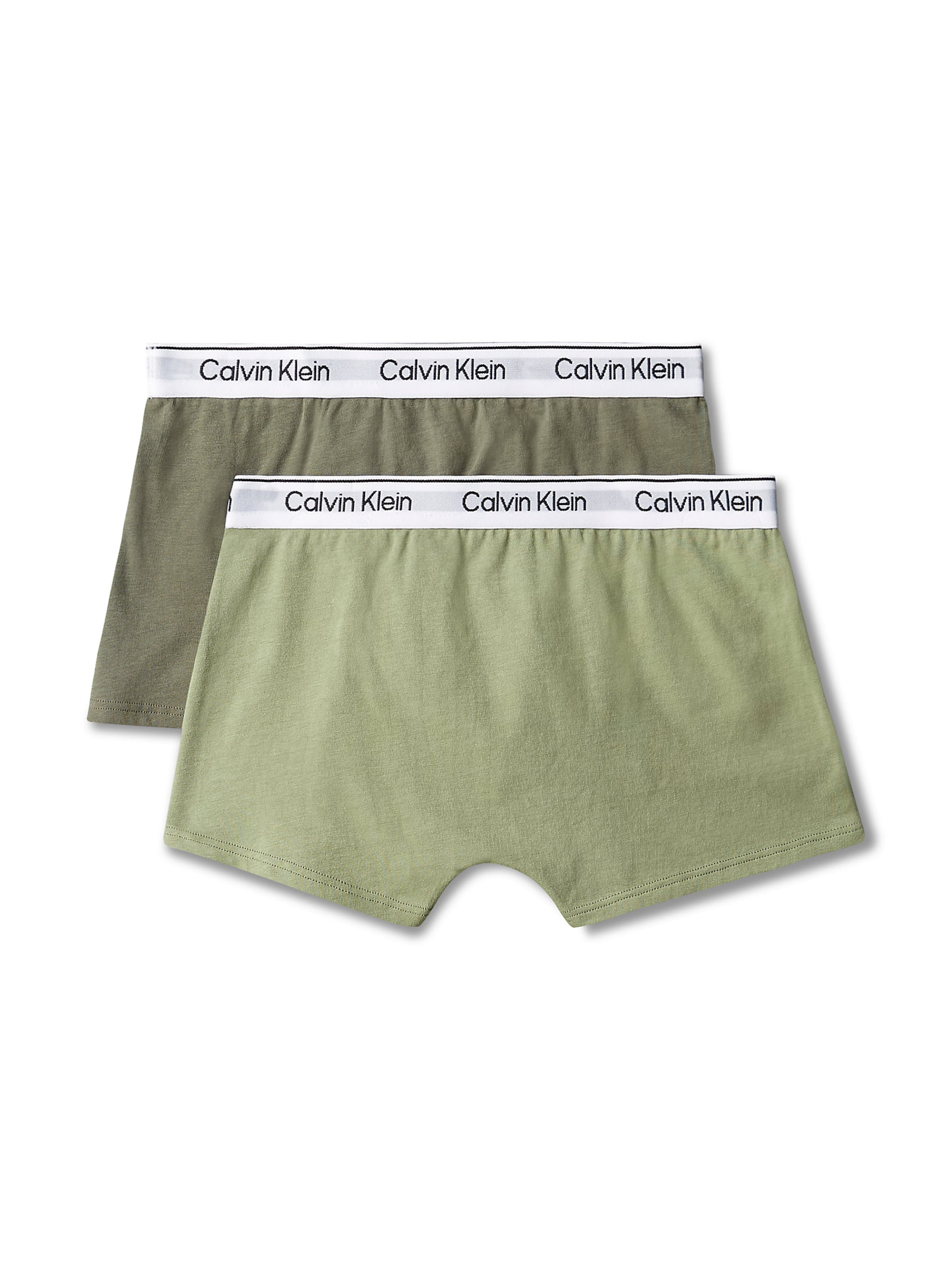 Calvin Klein Underwear Underpants in Green