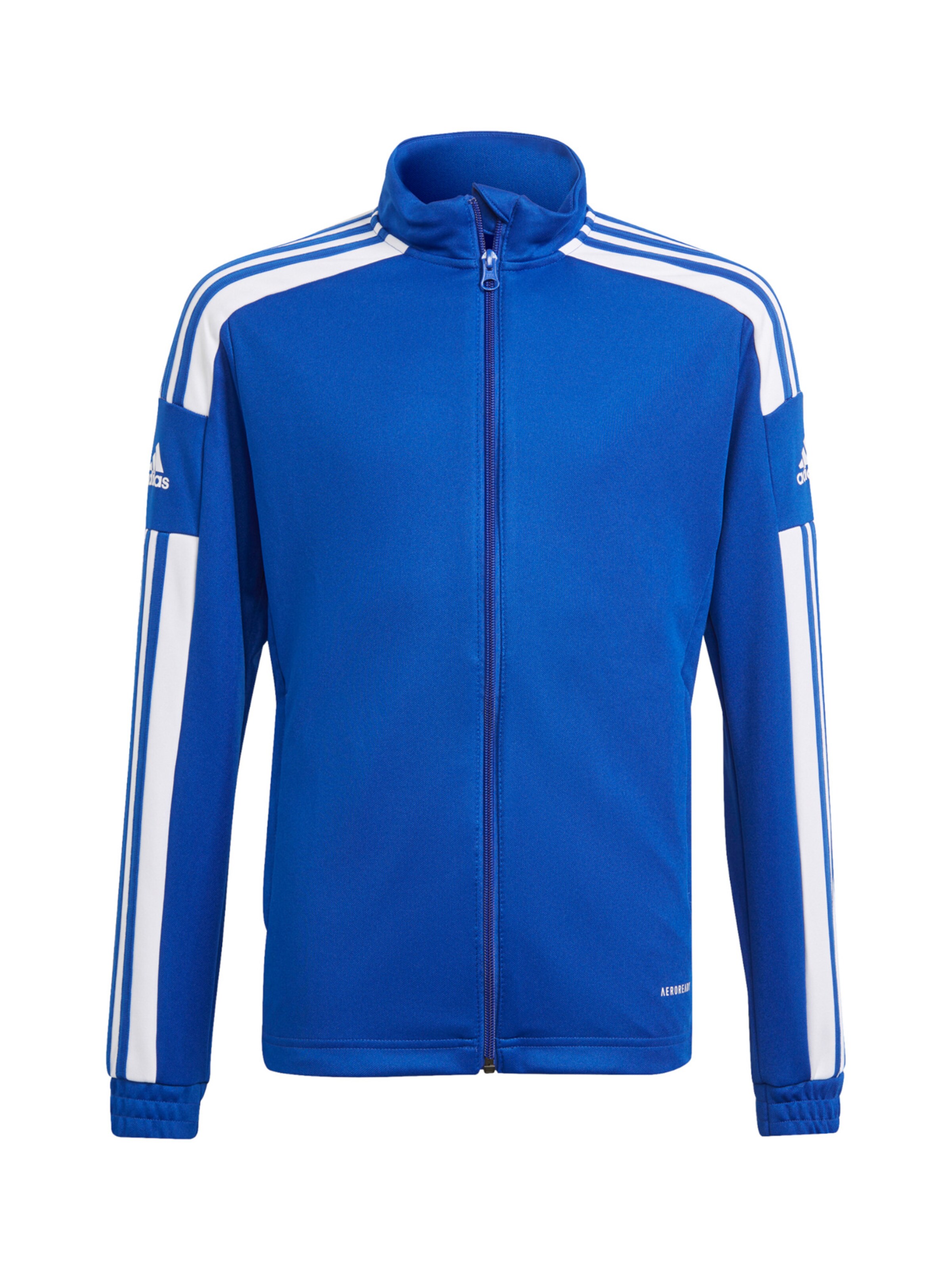 ADIDAS PERFORMANCE Athletic Jacket 'Squadra 21' in Blue: front