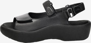 Wolky Sandale 'Jewel Martinica' in Schwarz: Vorderseite
