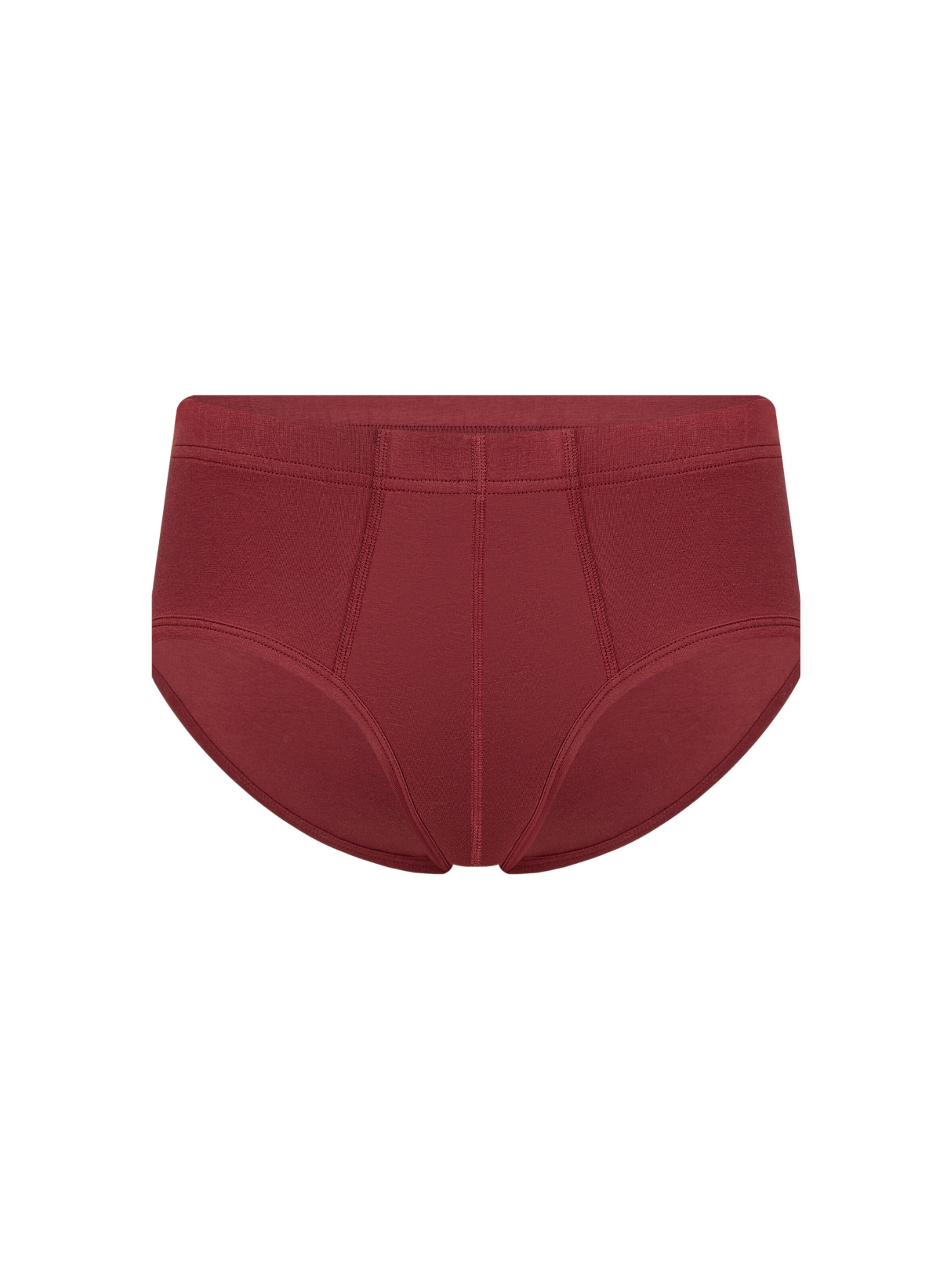 Albero Natur Slip 'Bio-Baumwoll Herrenslip mit Komfortbund'‌‌‌‌‌‌‌‌ in Rot: Vorderseite