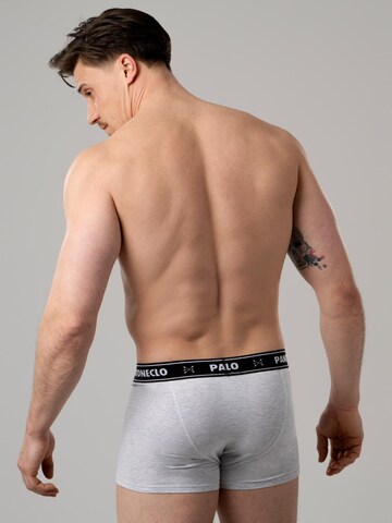 PANTONECLO Boksershorts 'Pantoneclo Men’s Boxer Underwear' i beige