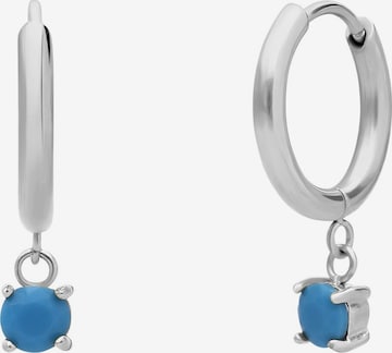 Lucardi Earrings 'Klassisch' in Silver: front