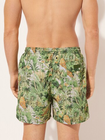 CALZEDONIA Regular Badeshorts in Grün