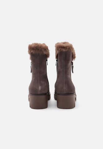 Bottines GABOR en gris