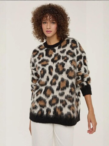 Pullover di Hiccup in beige: frontale