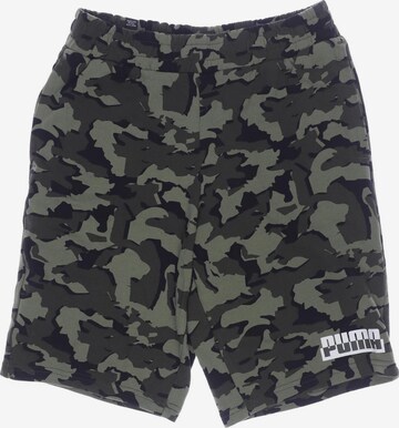 PUMA Shorts in 31-32 in Green: front