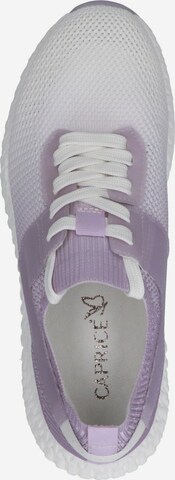 Baskets basses CAPRICE en violet