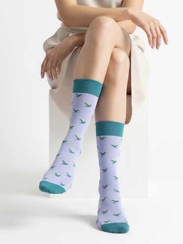 Chaussettes 'ZEFYR EDITION' The Arctic Bay en mélange de couleurs