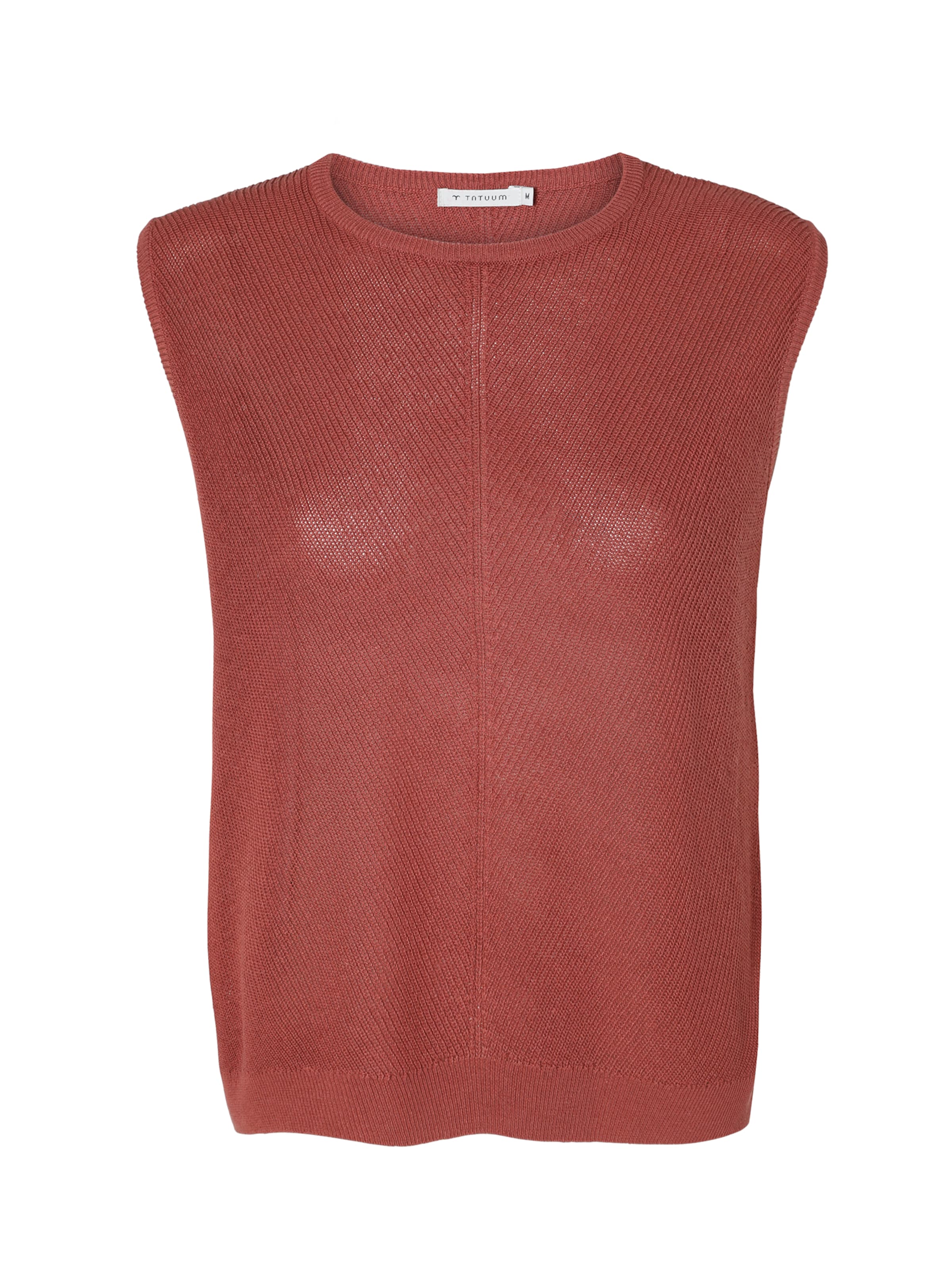 brūns TATUUM Džemperis 'SIKRA': no priekšpuses