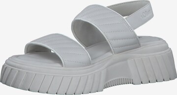 s.Oliver Sandals in Grey: front