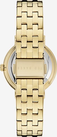 Ted Baker Analog Watch 'Phylipa Fashion' in Gold