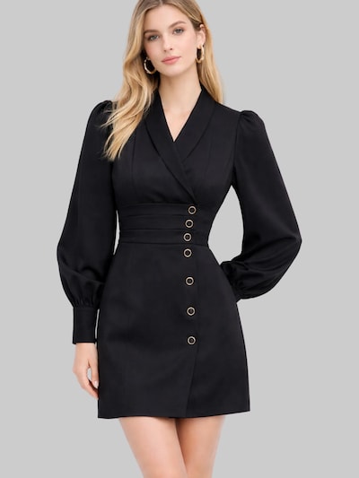 Madnezz House Jurk in de kleur Zwart, Productweergave