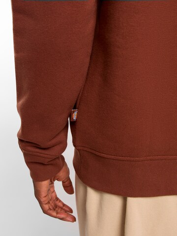 DICKIES Mikina 'OAKPORT' – hnědá