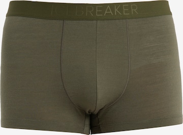 ICEBREAKER Boxershorts 'Anatomica' in Grün: predná strana