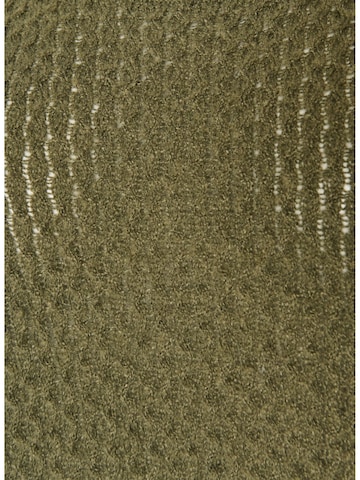 Zizzi Pullover 'Flaya' in Grün