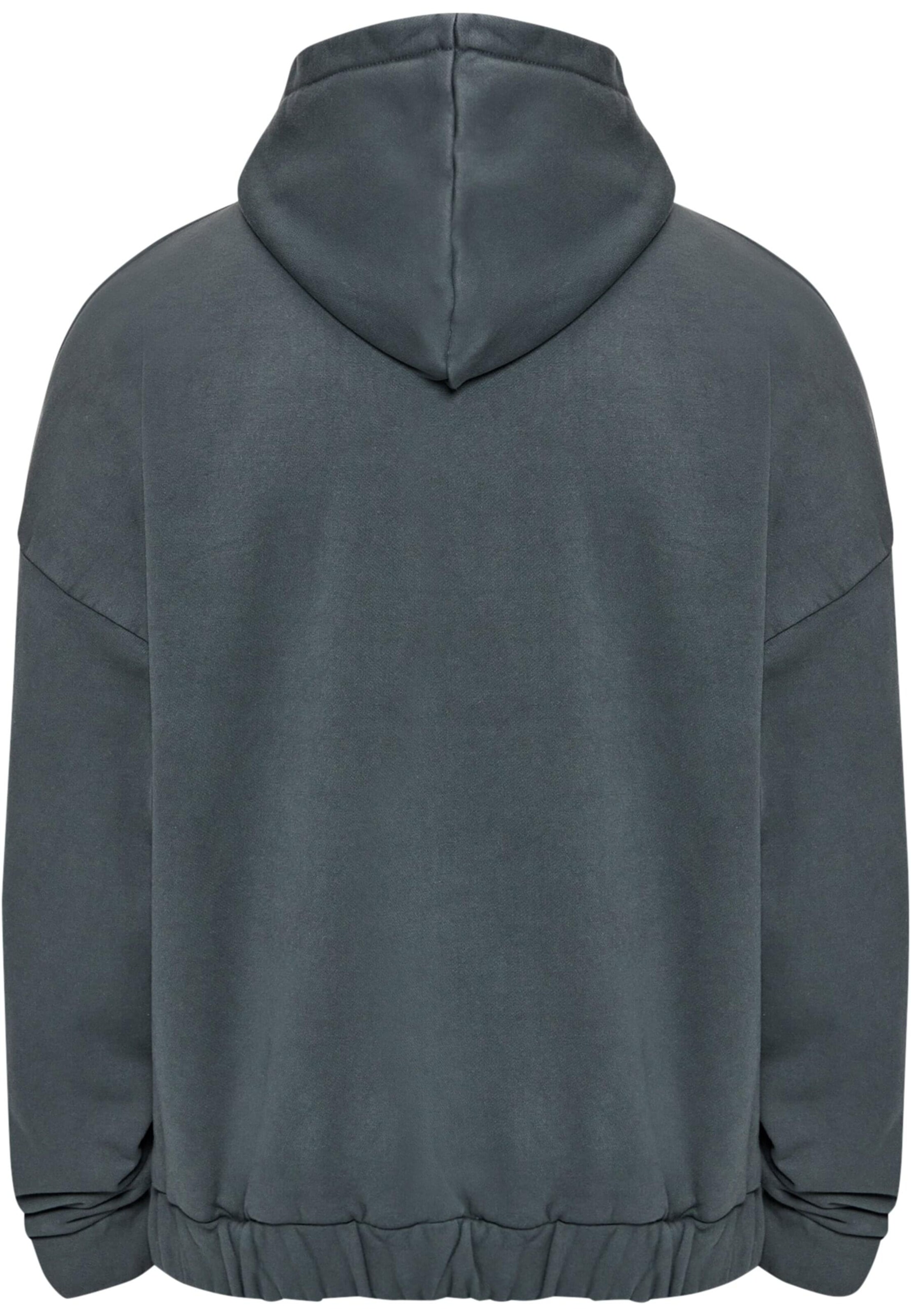 Dropsize Sweatjacke in Grau