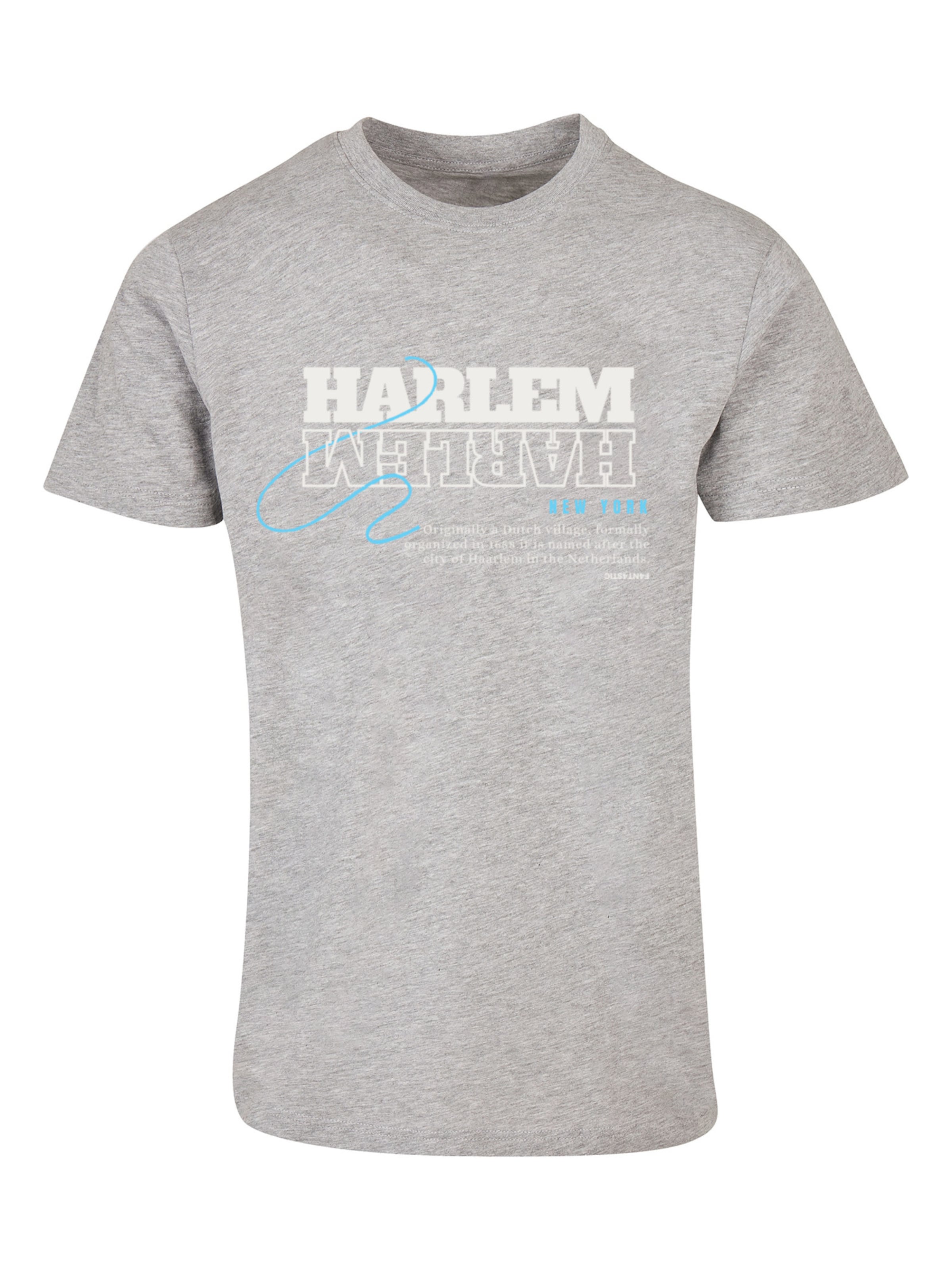 F4NT4STIC Shirt 'Harlem' in Grey: front