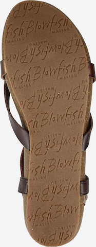 Blowfish Malibu T-Bar Sandals in Brown