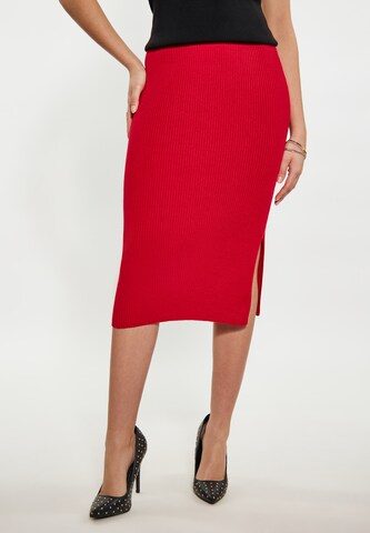 faina Skirt in Red: front