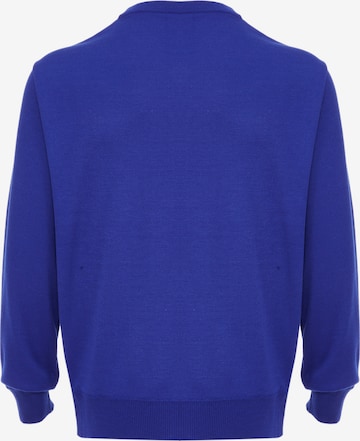 RAIDO Pullover in Blau