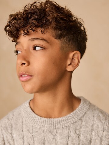 Next Sweater in Grey