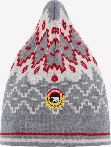 Eisbär Beanie in Grey: front