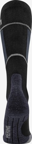 normani Athletic Socks 'Darwin' in Black