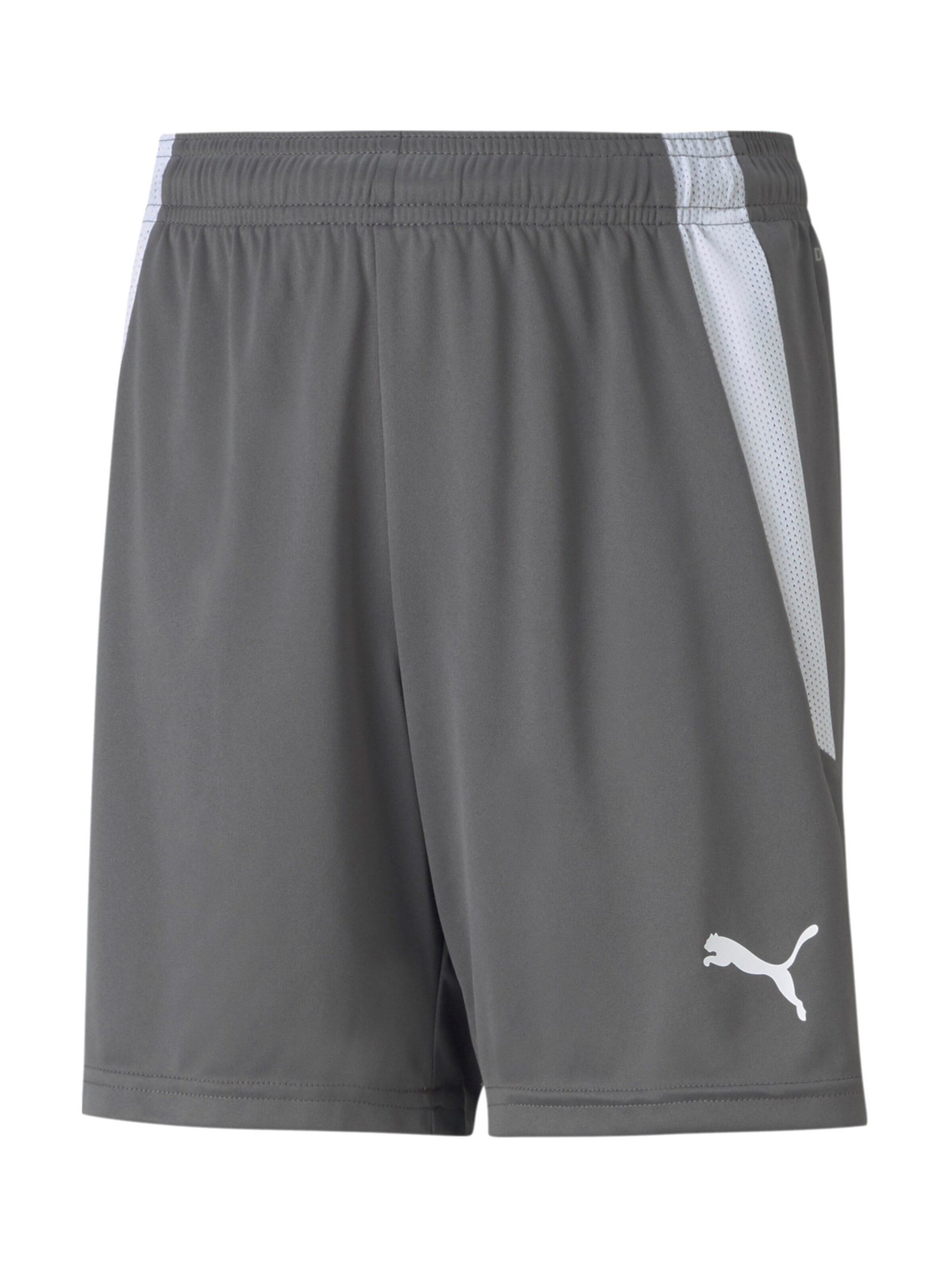 Regular Pantalon de sport 'TeamLiga' PUMA en gris : devant