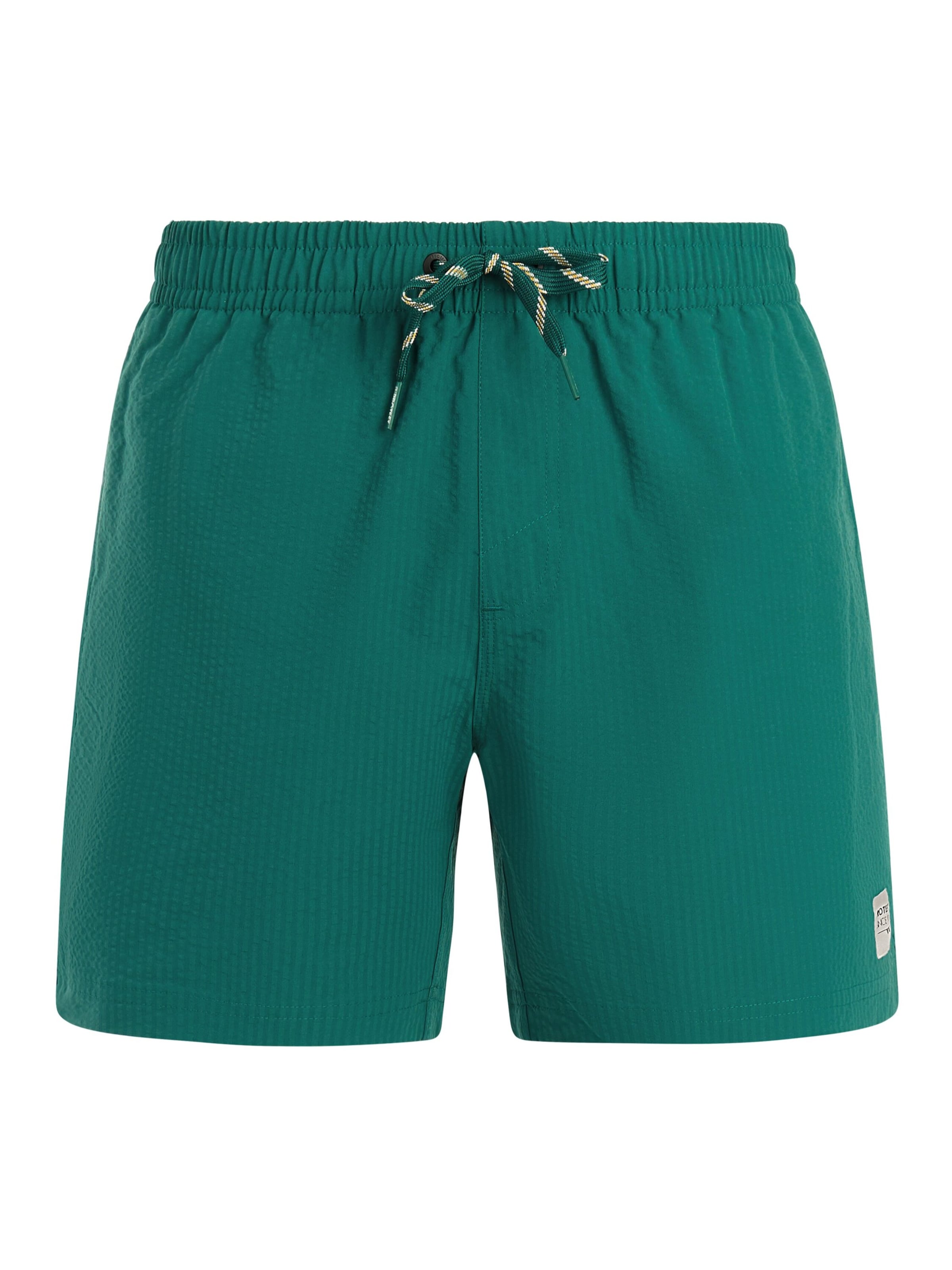 PROTEST Swimming shorts 'PRTAgden' in Green, Item view