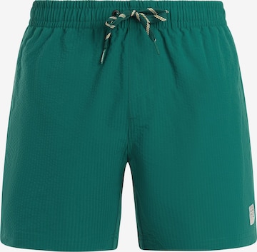 PROTEST Swimming shorts 'PRTAgden' in Green: front