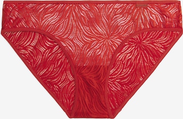Calvin Klein Underwear Slip in Rood: voorkant