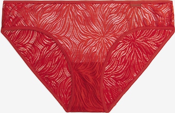 Calvin Klein Underwear Slip in Red: front