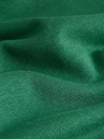 Wide Leg Pantalon Next en vert