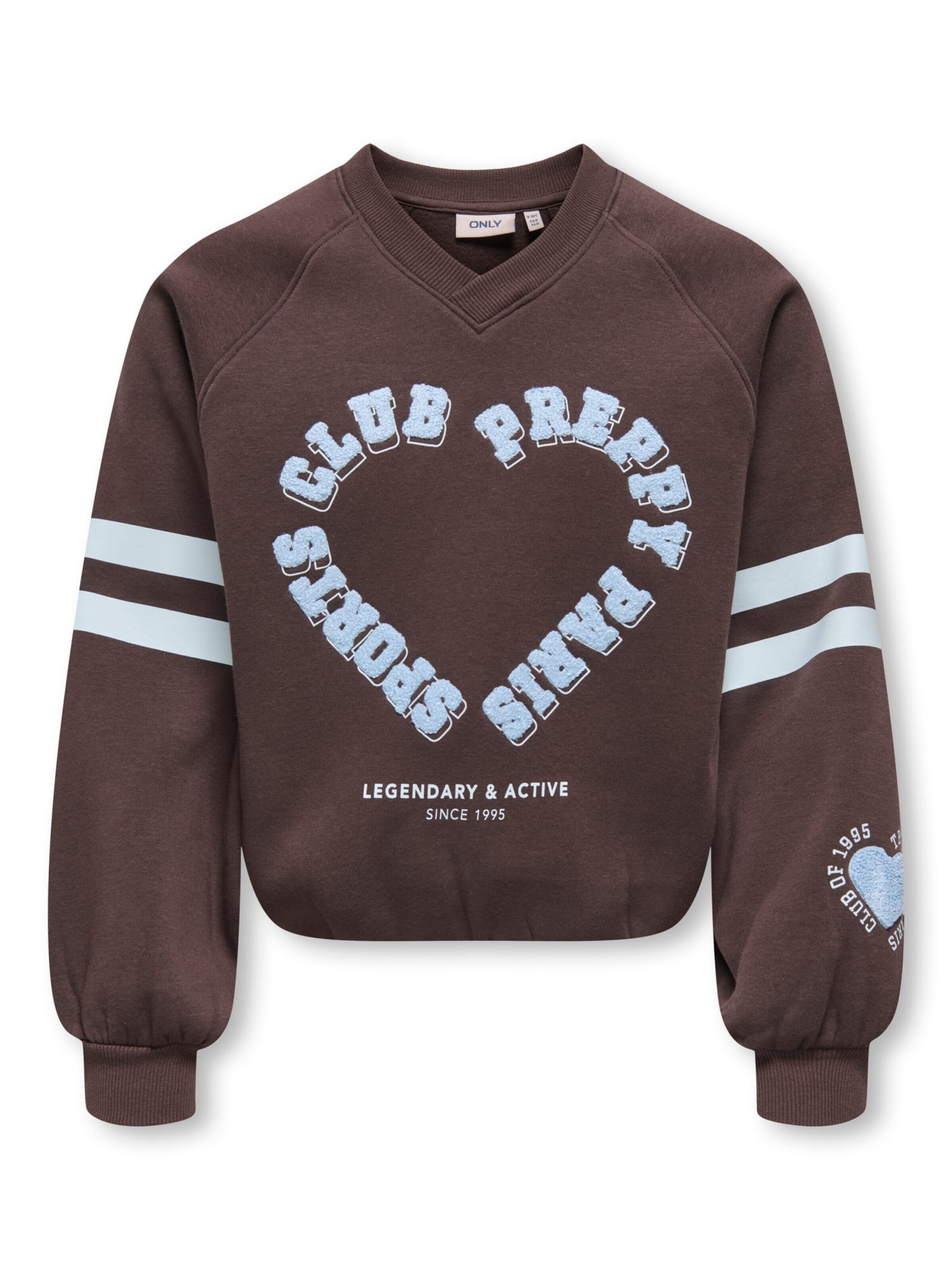 KIDS ONLY GIRL Sweatshirt 'KOGCOLETTA' in Braun: Vorderseite