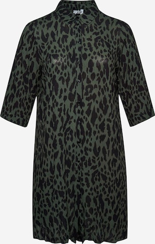 Aprico Shirt Dress 'Stockbridge' in Green: front