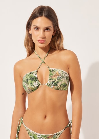 CALZEDONIA Bandeau Bikini Top 'Savage Tropics' in Green: front