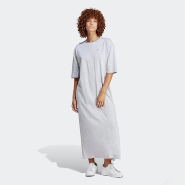 pilka ADIDAS ORIGINALS Suknelė 'Premium Essentials': priekis