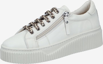 PIAZZA Schnürschuh in Weiß: Vorderseite