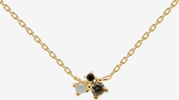 P D PAOLA Necklace 'Lime' in Gold: front