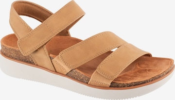 Sandales 'Skechers Lifted Comfort' SKECHERS en marron : devant