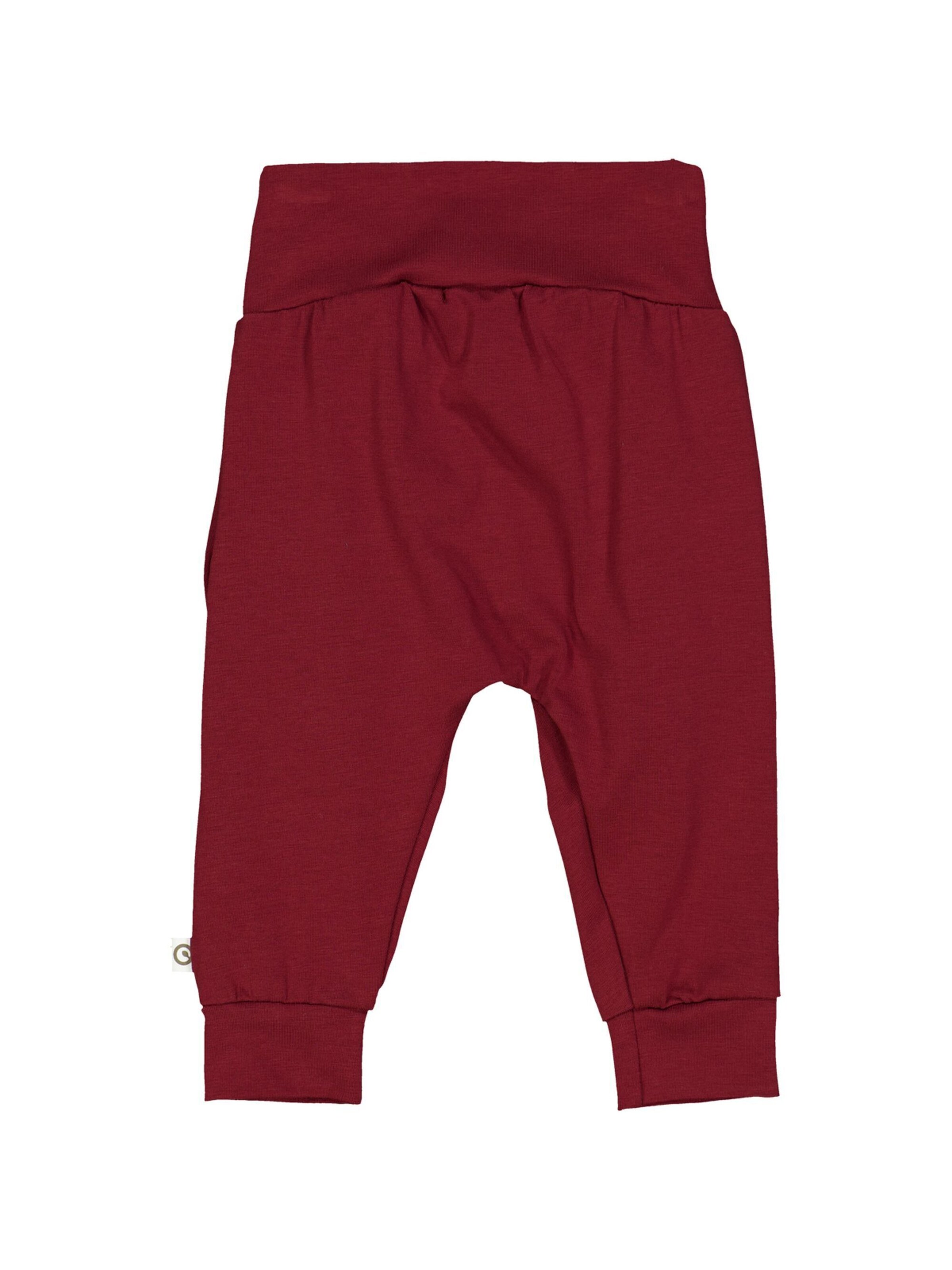 Müsli by GREEN COTTON Tapered Hose in Rot