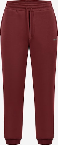 Smilodox Pants in Red: front