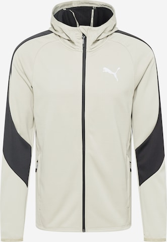 PUMA Athletic Zip-Up Hoodie 'Evostripe' in Grey: front