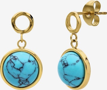 Lucardi Earrings in Gold: front
