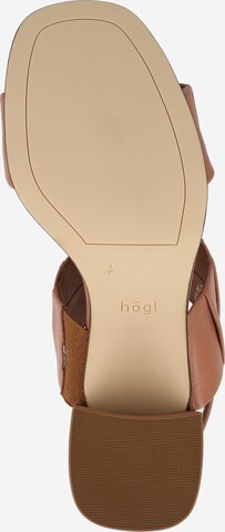 Högl Sandals in Brown