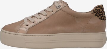 Baskets basses Paul Green en beige : devant