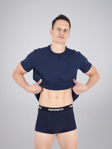 PANTONECLO Boksershorts 'Pantoneclo Men’s Boxer Underwear-10 Pcs Pack' i blandingsfarvet