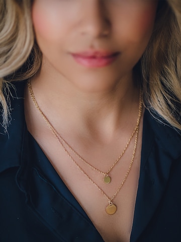 Heideman Necklace in Gold: front